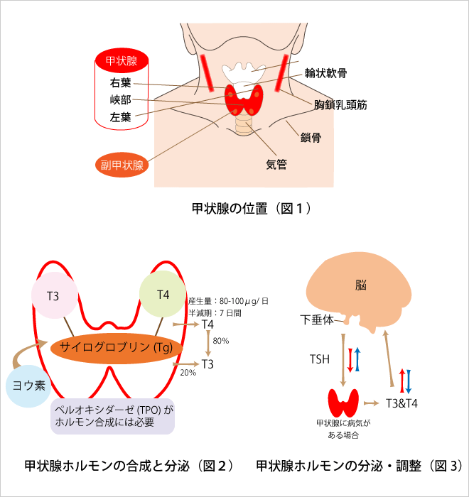 internal_about01.png